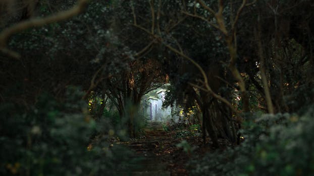 A mysterious pathway through dense forest leading to a hidden shrine, creating an atmospheric and mystical vibe.