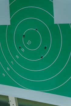 Close-up of a green shooting target with bullet holes and numbered rings.